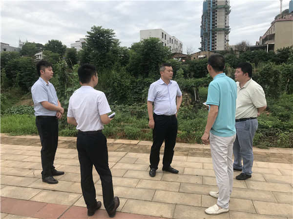 7月6日。黃勁松深入板塘片區重點項目調研.jpg